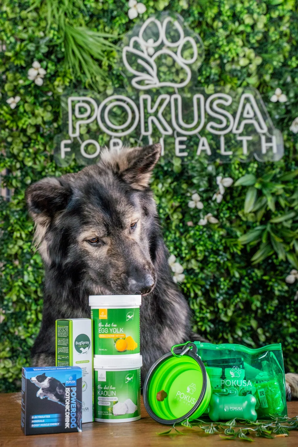 hugo pokusa2